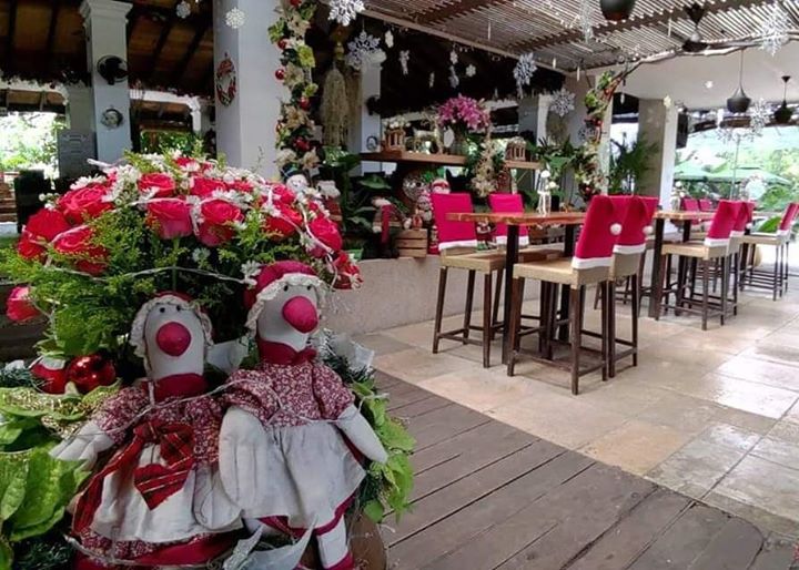 “Christmas is a day of meaning and traditions, a special day spent in the warm circle of family and friends.” ―Margaret Thatcher

热带风情 ～
风和日丽 . 圣诞节.

#Gokaikai
#bespoketravel #gourmettravel 
#reddotbrewhouse
#Christmasbrunch
#我的两亩田
#生活旅游